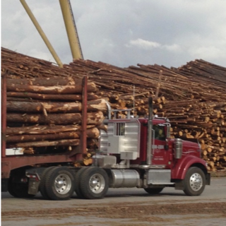 truck carrying load of timber driving through timber yard