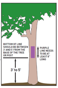 Example of how to post their protery as permission needed with purple paint on trees.
