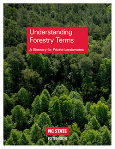 Understanding Forestry Terms cover image