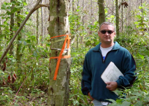 Cover photo for Studies Offer Future Hope for American Sycamores