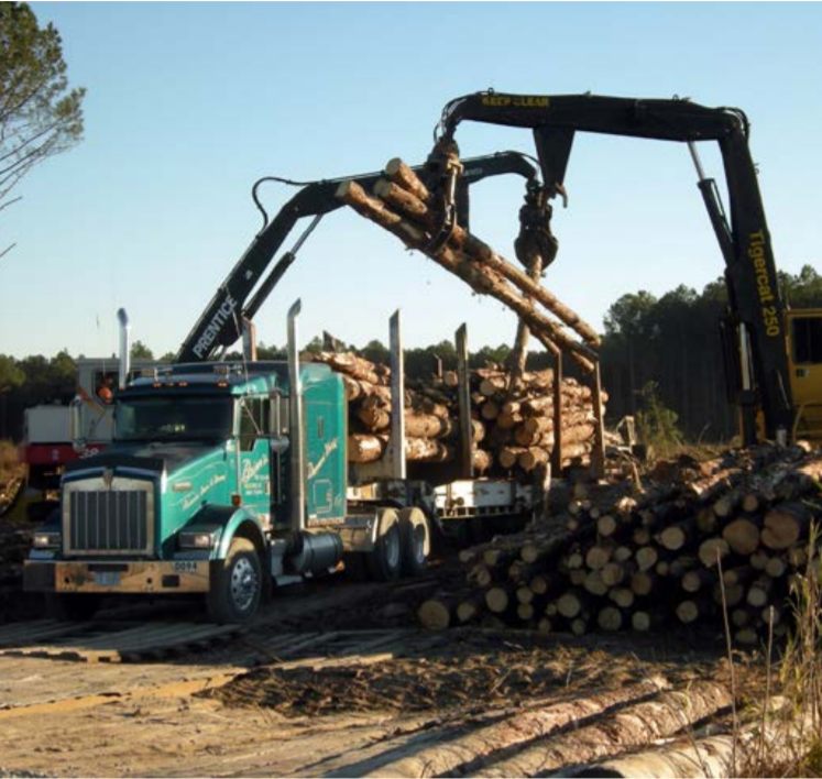 2017 Economic Contribution of the Forest Sector in North Carolina | NC ...