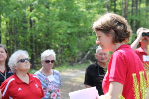 people in forest workshop