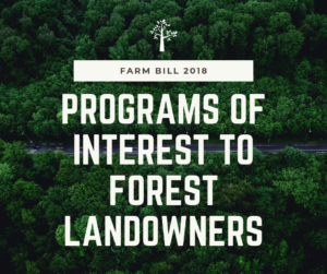 programs for forest landowners