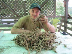 Jim holding roots