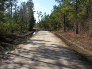 properly maintained woods road