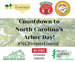 Cover photo for NC Arbor Day - March 19, 2021