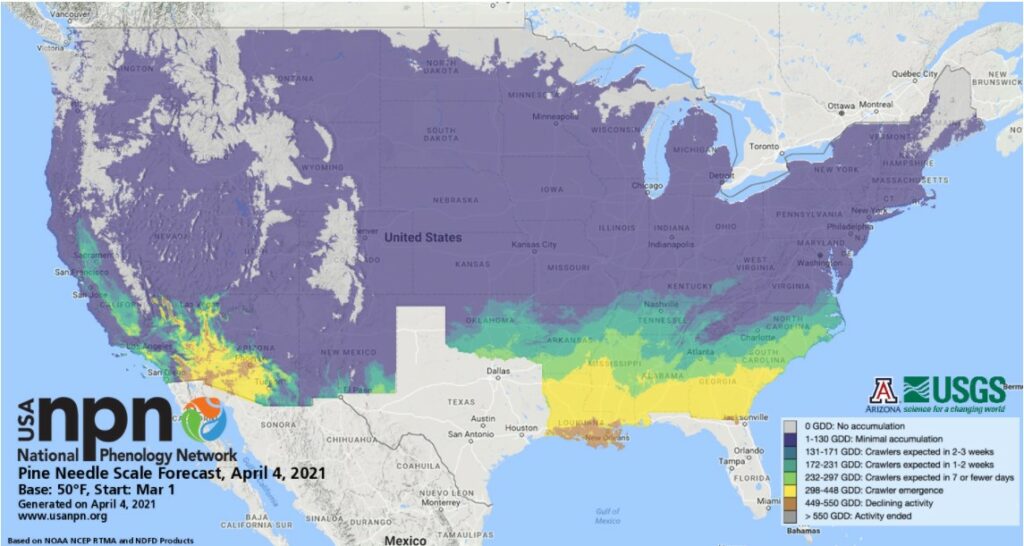 A map of the US, showing areas warming up where pine needle scale will be emerging soon. 