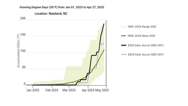 Line graph includes the 1995-2024 range GDD, 1995-2024 Mean GDD, 2024, and 2025 Daily Accumulated GDDs