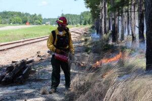 NC State Forest Management student uses a drip torch to ignite a fire line during a prescribed burn with The Nature Conservancy.